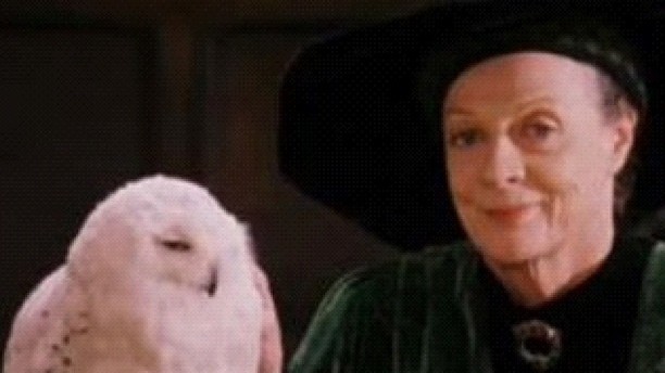 Minerva McGonagall